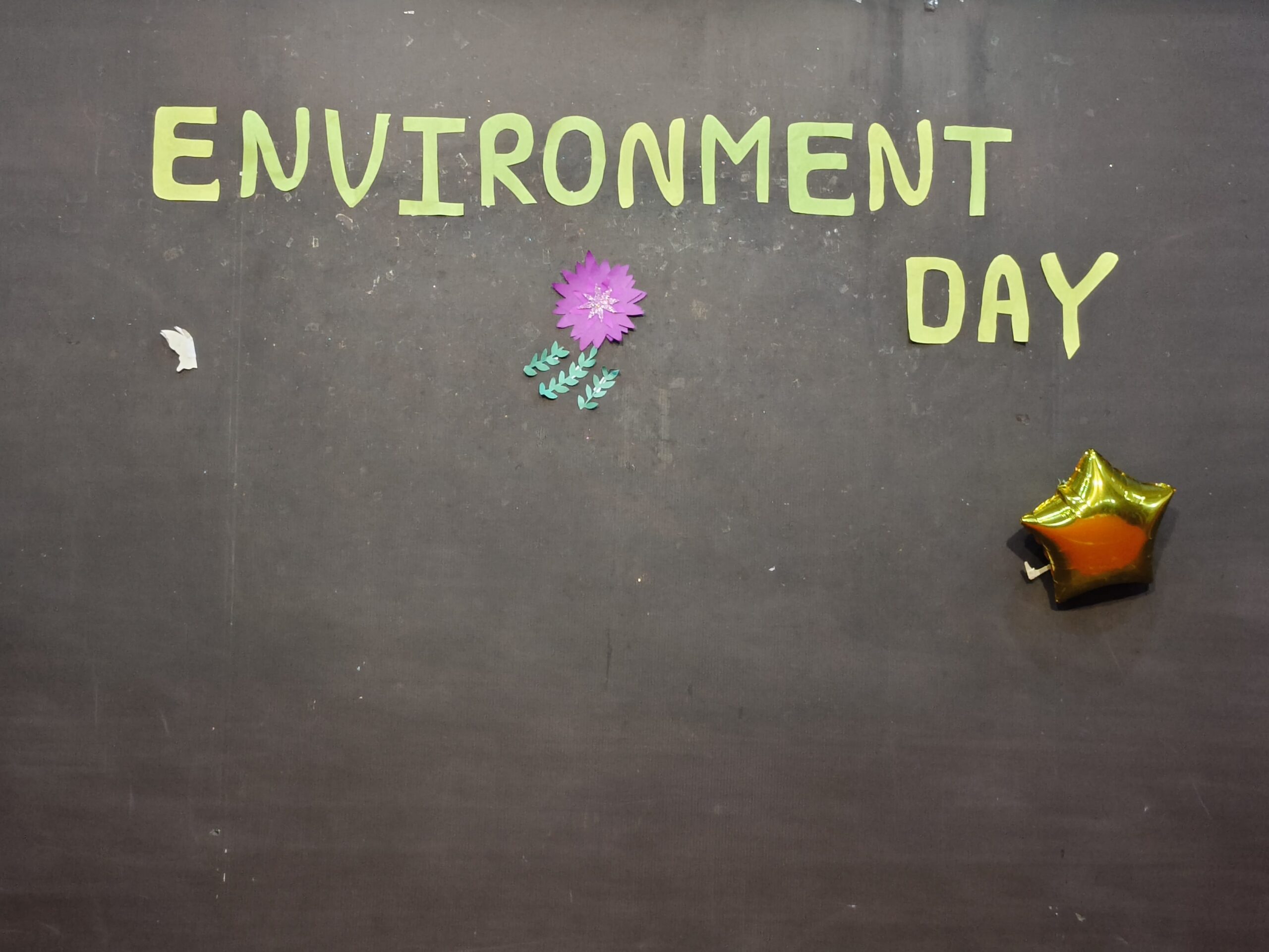 ENVIRONMENT DAY